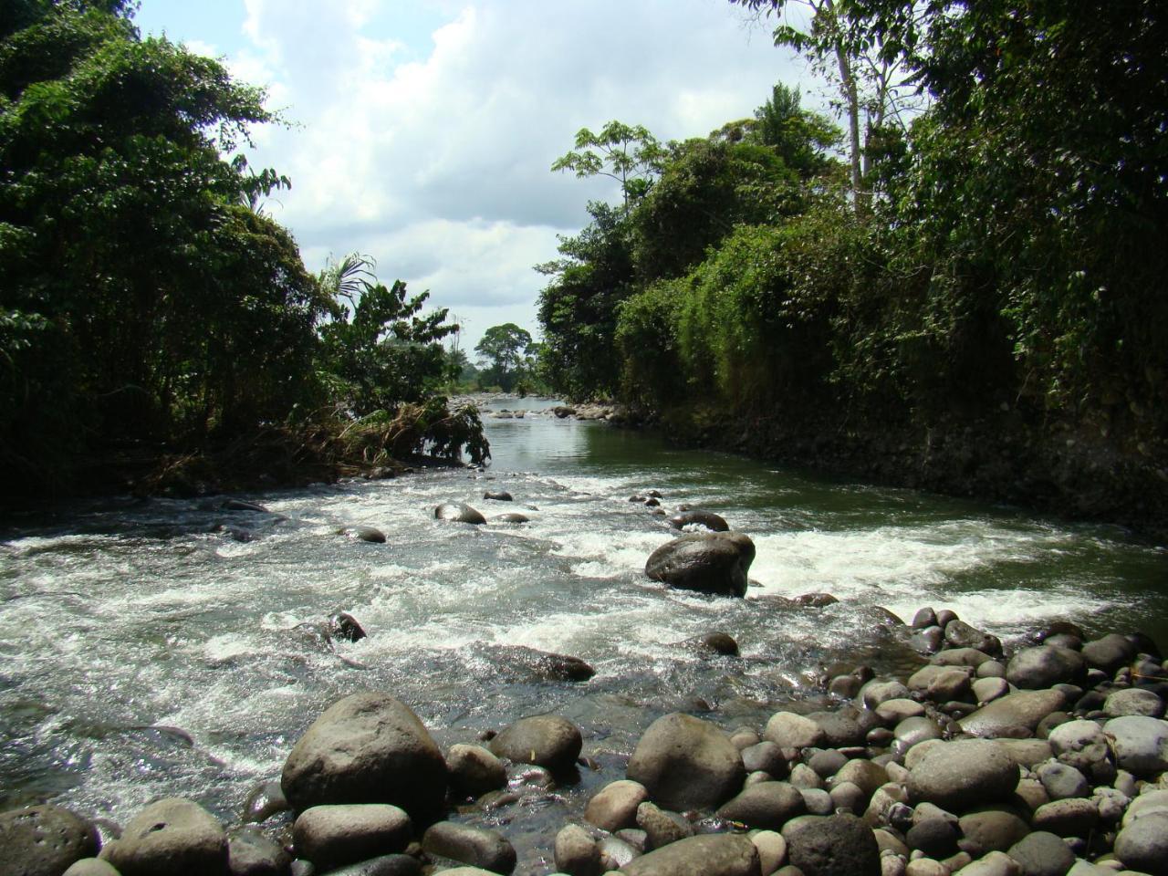 Horquetas River Lodge Sarapiquí Zewnętrze zdjęcie