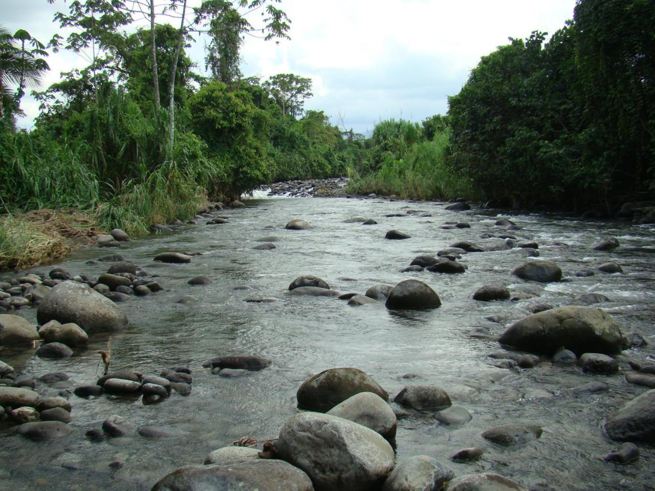 Horquetas River Lodge Sarapiquí Zewnętrze zdjęcie