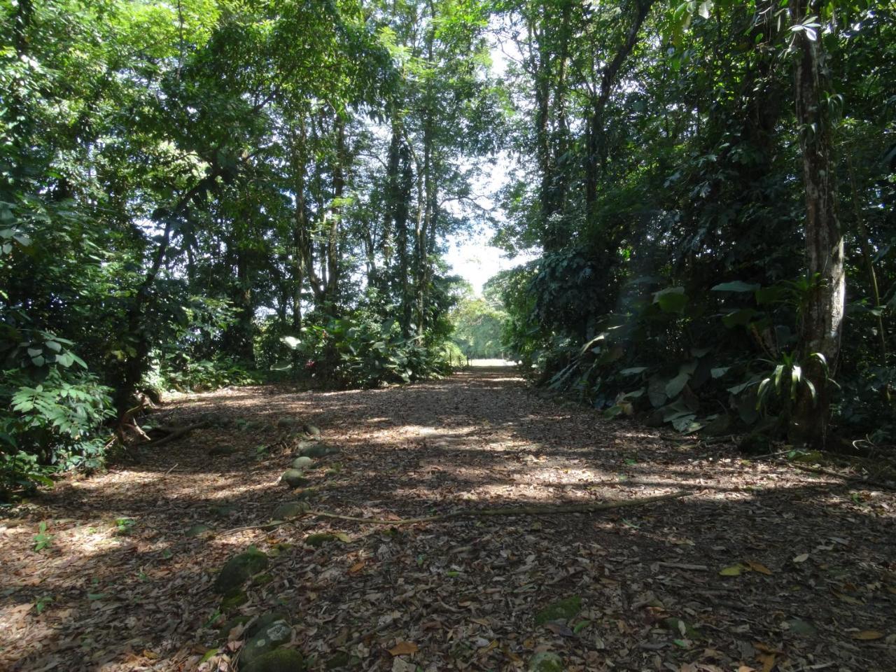 Horquetas River Lodge Sarapiquí Zewnętrze zdjęcie