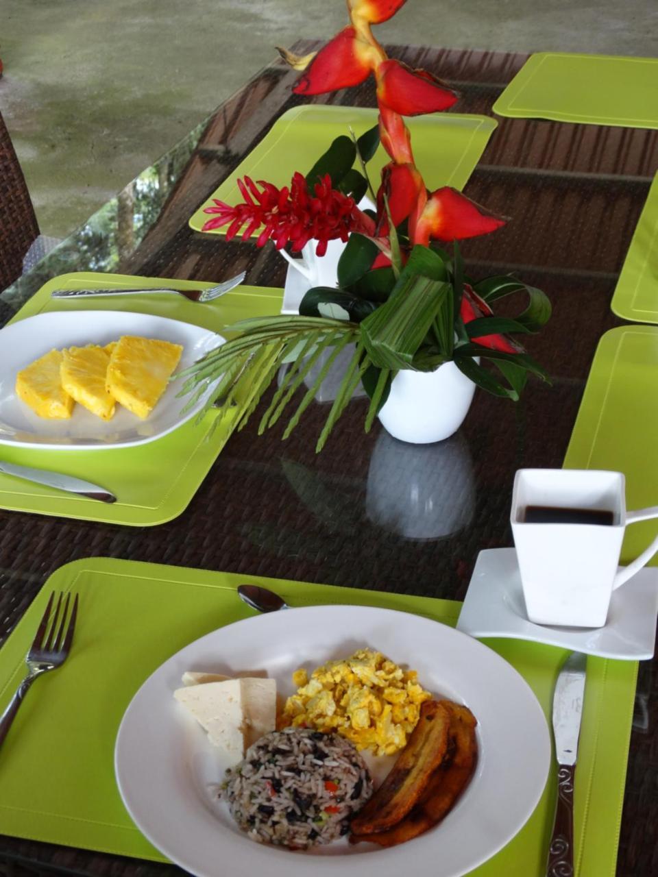 Horquetas River Lodge Sarapiquí Zewnętrze zdjęcie