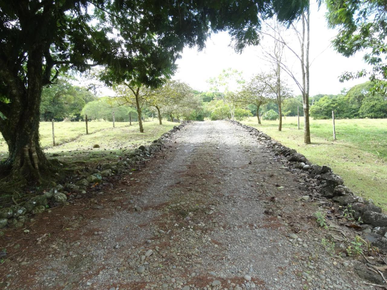 Horquetas River Lodge Sarapiquí Zewnętrze zdjęcie