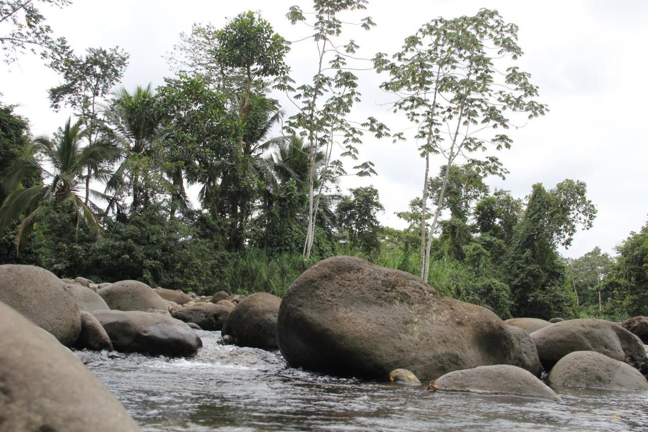 Horquetas River Lodge Sarapiquí Zewnętrze zdjęcie