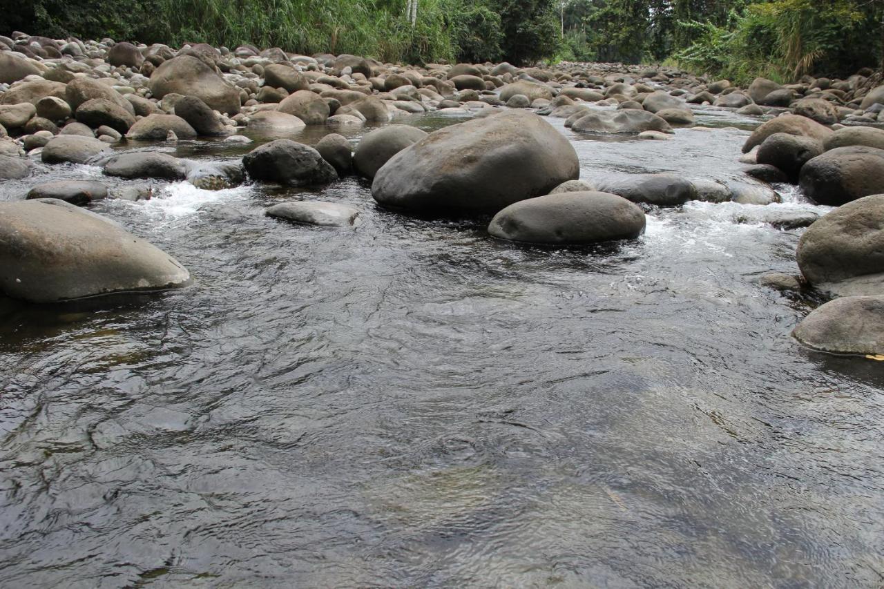 Horquetas River Lodge Sarapiquí Zewnętrze zdjęcie