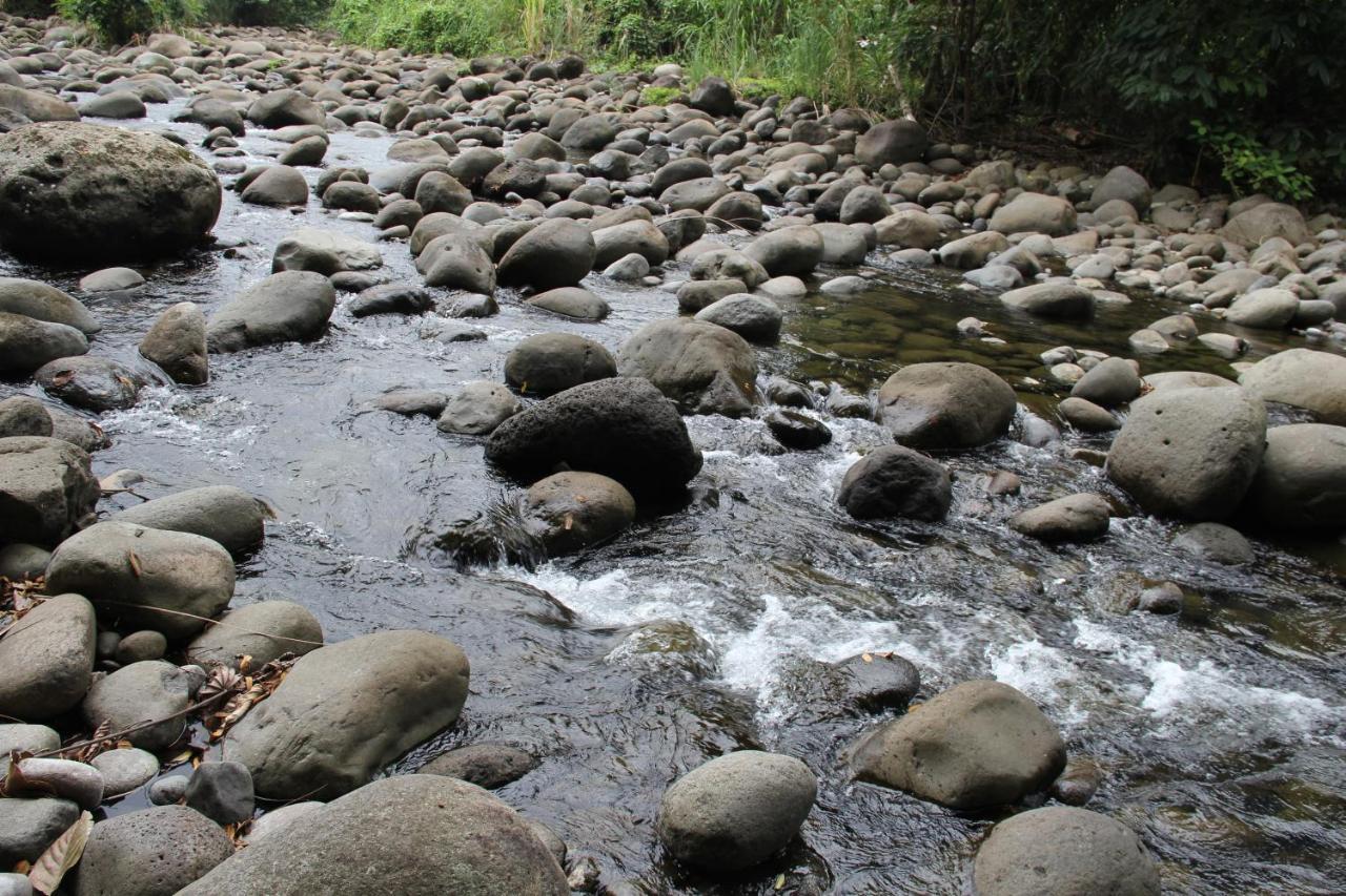 Horquetas River Lodge Sarapiquí Zewnętrze zdjęcie