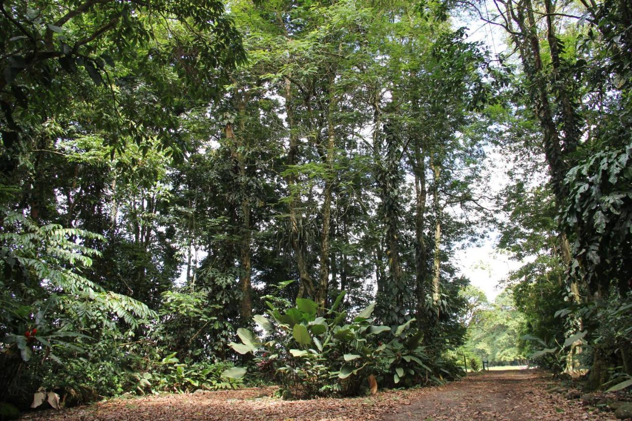 Horquetas River Lodge Sarapiquí Zewnętrze zdjęcie