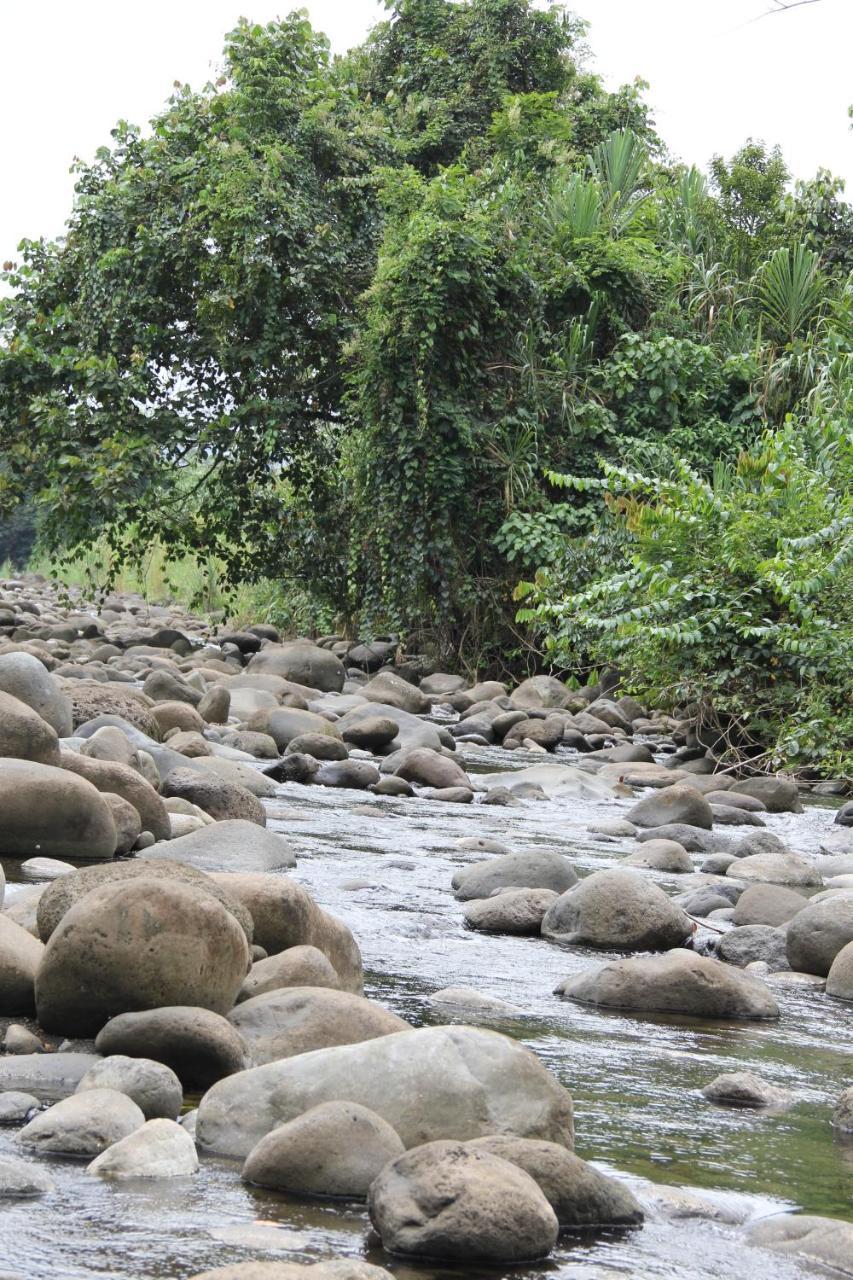 Horquetas River Lodge Sarapiquí Zewnętrze zdjęcie
