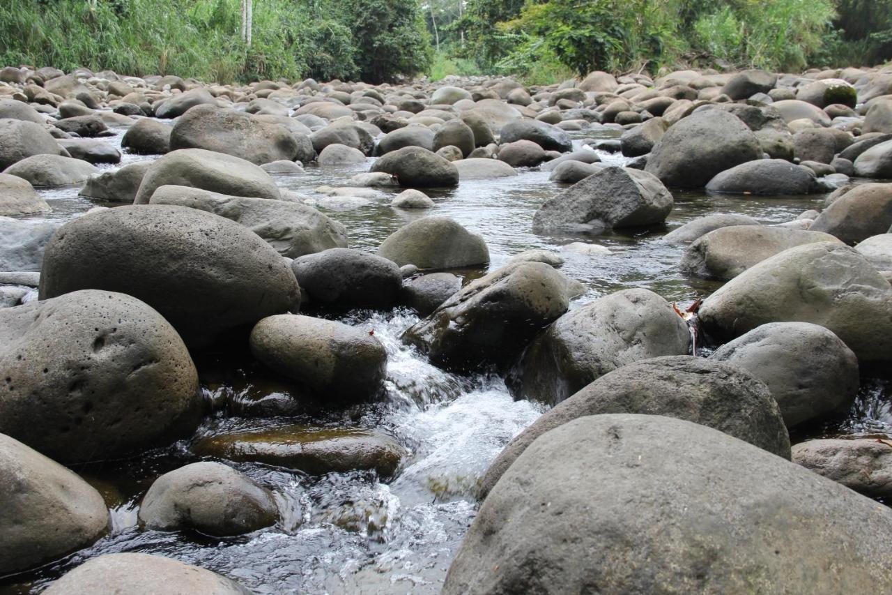 Horquetas River Lodge Sarapiquí Zewnętrze zdjęcie