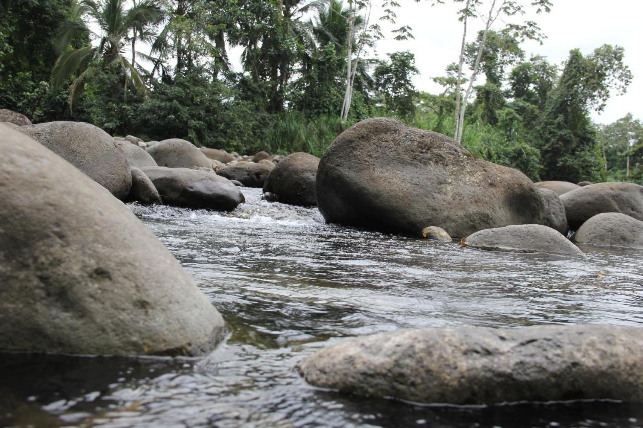 Horquetas River Lodge Sarapiquí Zewnętrze zdjęcie