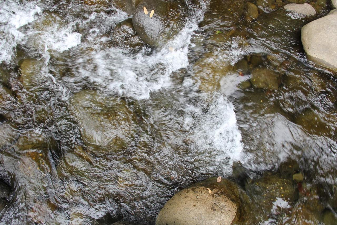 Horquetas River Lodge Sarapiquí Zewnętrze zdjęcie