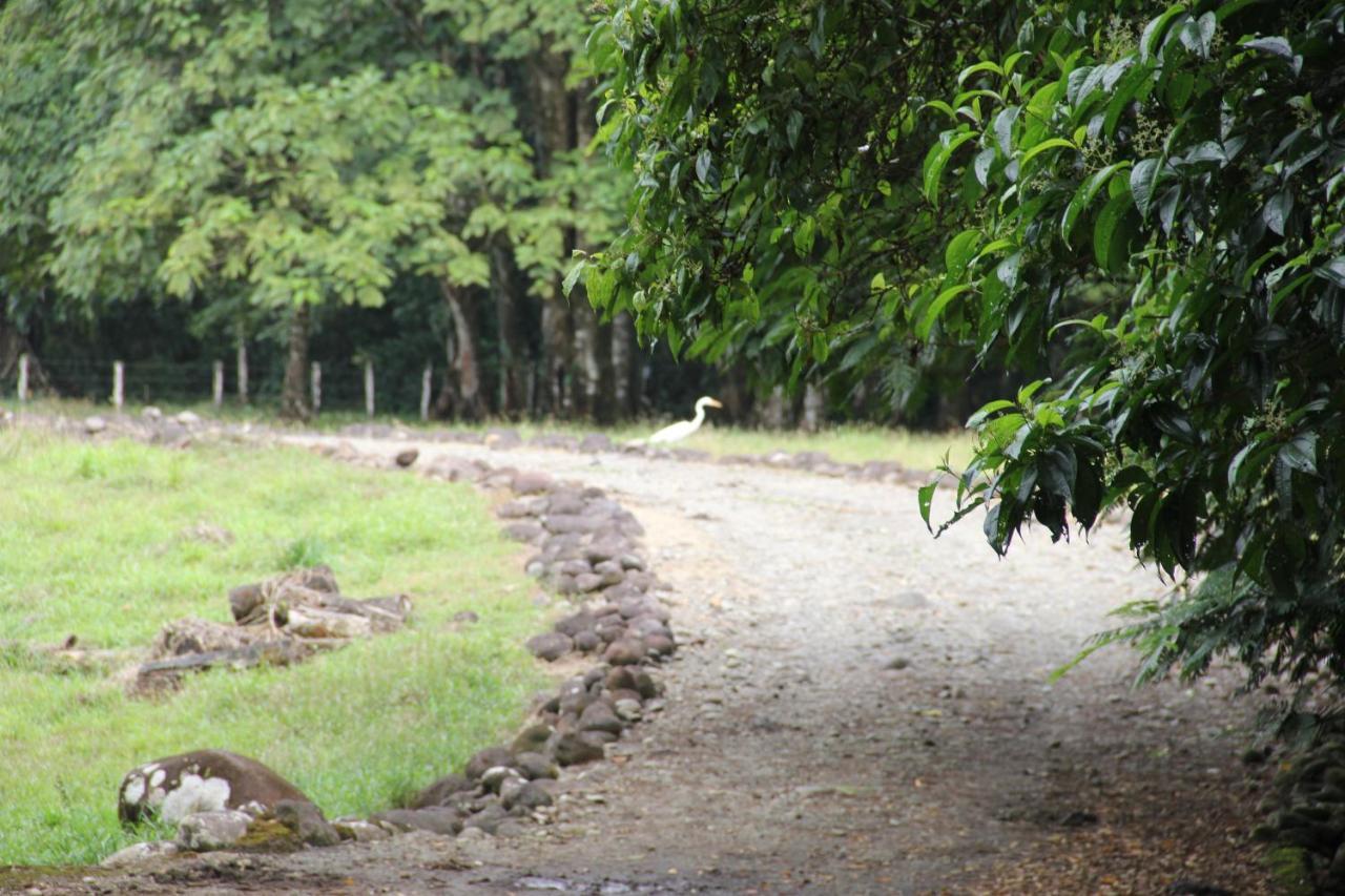 Horquetas River Lodge Sarapiquí Zewnętrze zdjęcie