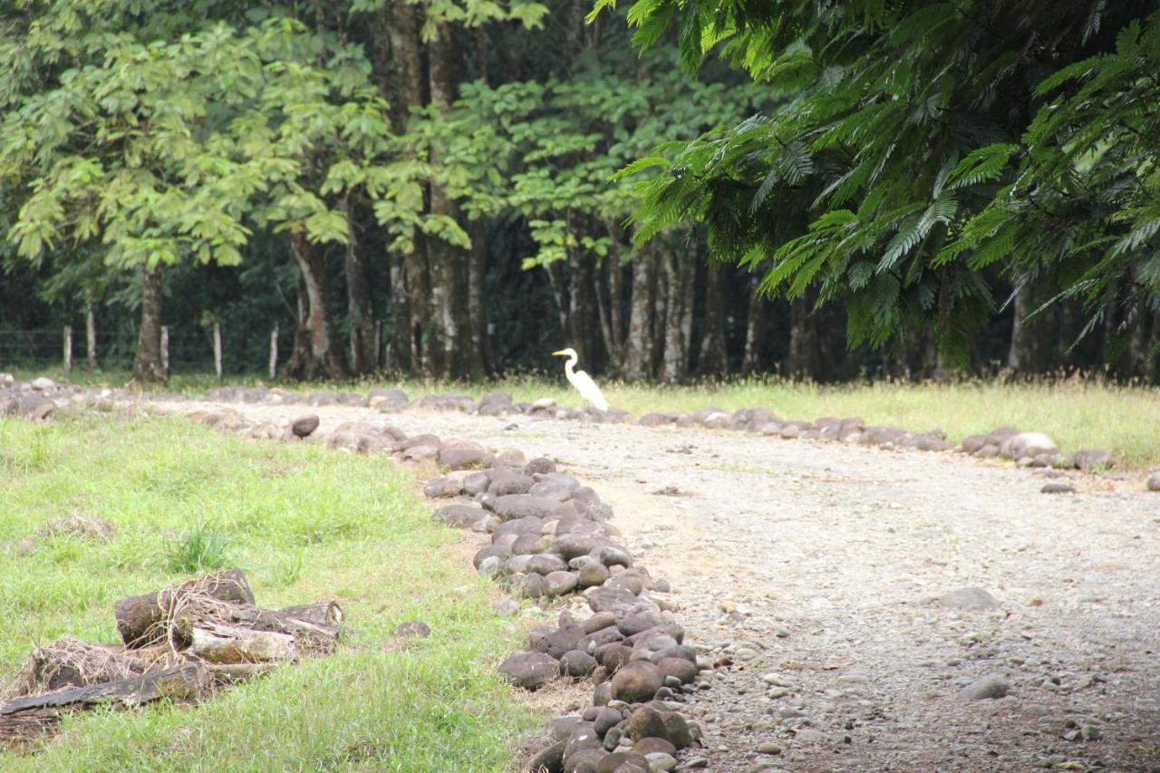 Horquetas River Lodge Sarapiquí Zewnętrze zdjęcie