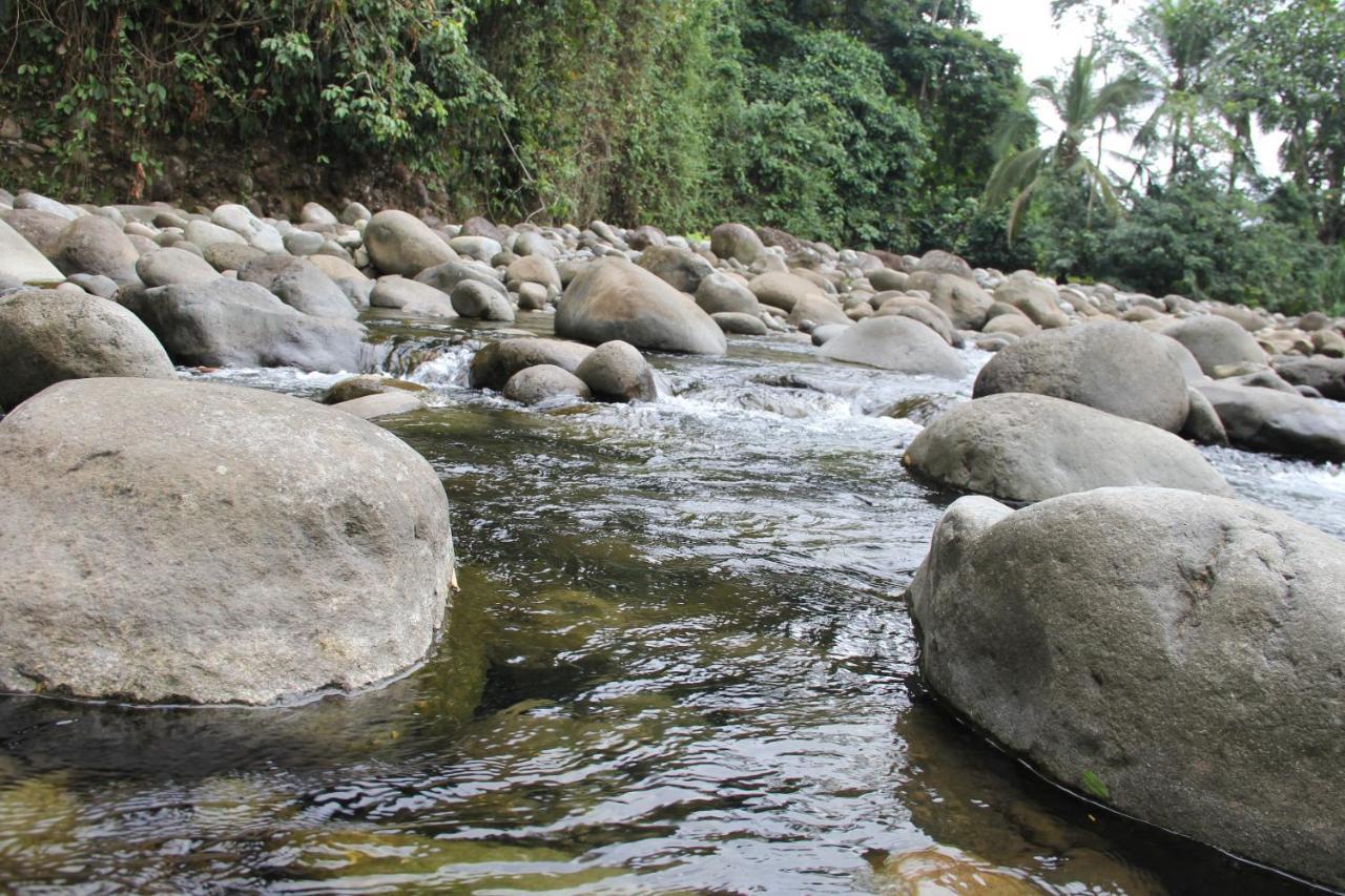 Horquetas River Lodge Sarapiquí Zewnętrze zdjęcie