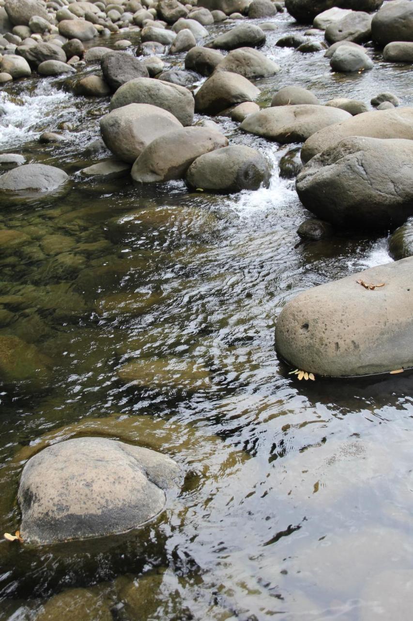 Horquetas River Lodge Sarapiquí Zewnętrze zdjęcie